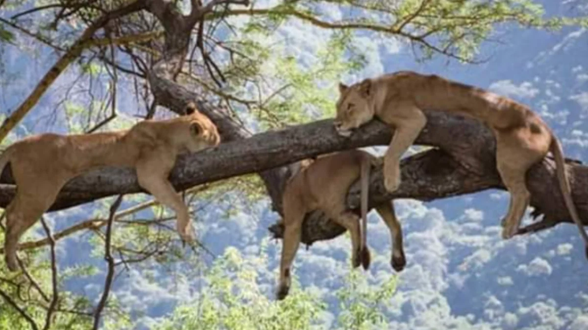 All itineraries are custom-built and non-standardized